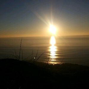 Meet your Posher, Ma